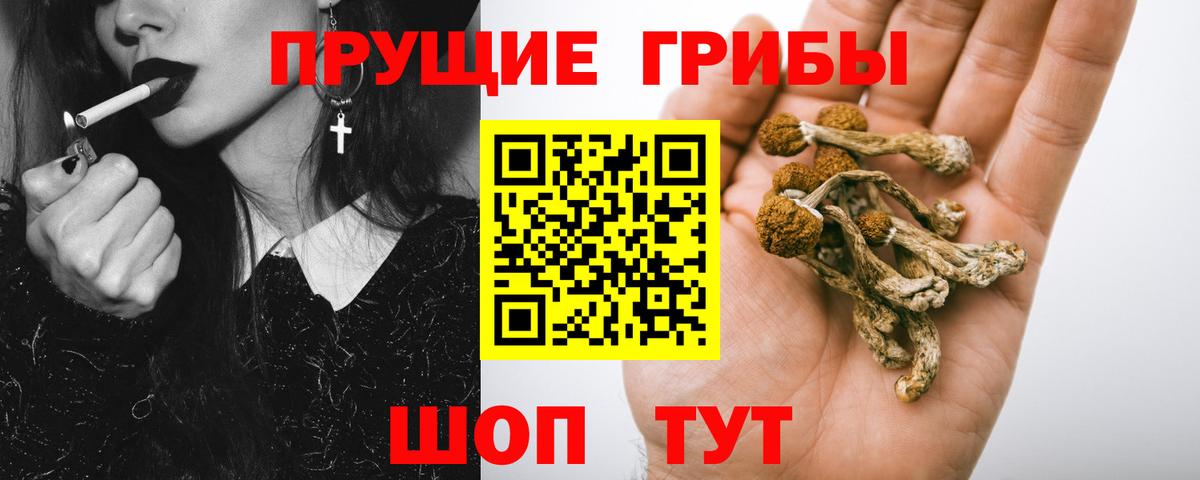Псилоцибиновые грибы Psilocybe  Вход с VPN  Ульяновск 